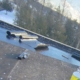 Flat Roofing Installation Services